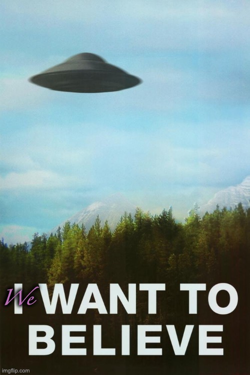 We want to believe | We | image tagged in x-files,scully,mulder,aliens | made w/ Imgflip meme maker