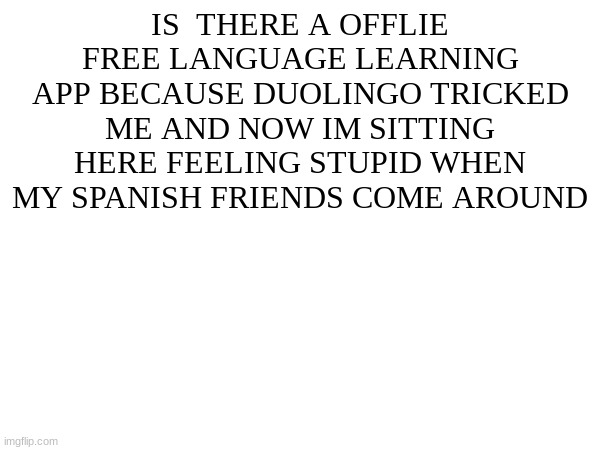 "just turn your internet oh lmao" hahahahahahaha. I'm being serious | IS  THERE A OFFLIE FREE LANGUAGE LEARNING APP BECAUSE DUOLINGO TRICKED ME AND NOW IM SITTING HERE FEELING STUPID WHEN MY SPANISH FRIENDS COME AROUND | made w/ Imgflip meme maker