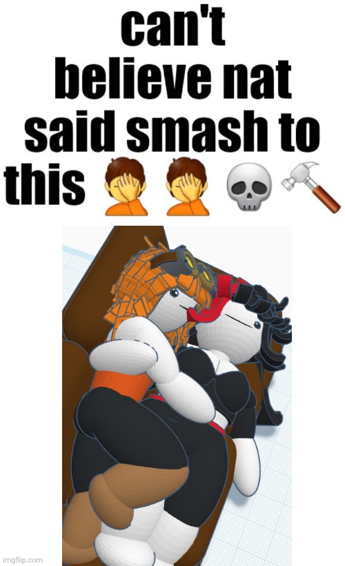 Can’t believe nat said smash to this | image tagged in can t believe nat said smash to this | made w/ Imgflip meme maker
