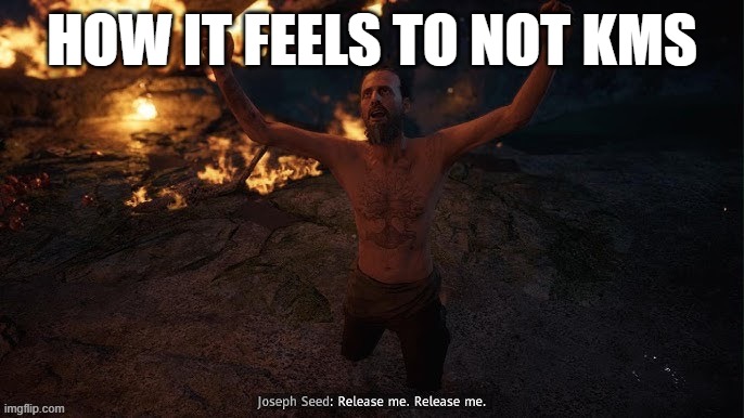 RELEASE ME | HOW IT FEELS TO NOT KMS | image tagged in release me | made w/ Imgflip meme maker