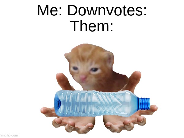 Me: Downvotes:
Them: | made w/ Imgflip meme maker