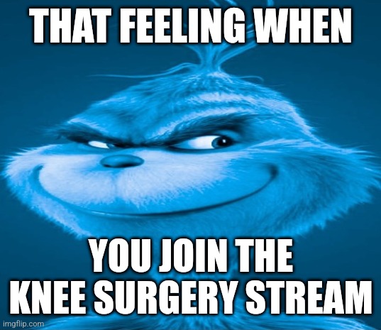 Knee surgery | THAT FEELING WHEN; YOU JOIN THE KNEE SURGERY STREAM | image tagged in blue grinch | made w/ Imgflip meme maker