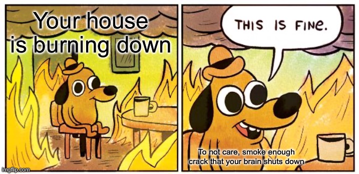 Crack burning | Your house is burning down; To not care, smoke enough crack that your brain shuts down | image tagged in memes,this is fine | made w/ Imgflip meme maker