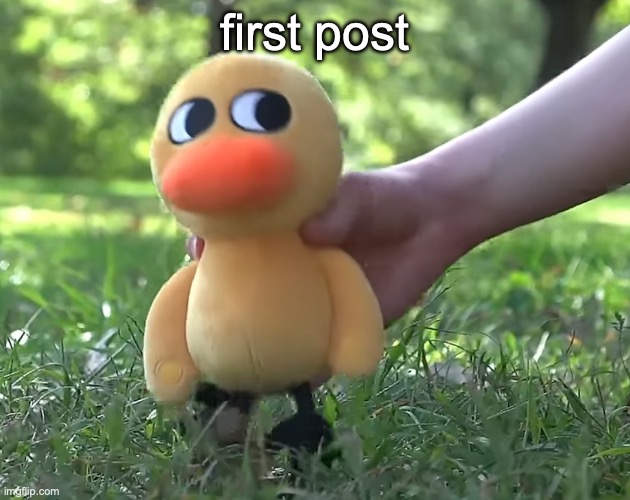 duck song plushie | first post | image tagged in duck song plushie | made w/ Imgflip meme maker