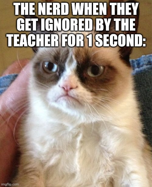 Grumpy Cat | THE NERD WHEN THEY GET IGNORED BY THE TEACHER FOR 1 SECOND: | image tagged in memes,grumpy cat,school,nerd,cats | made w/ Imgflip meme maker