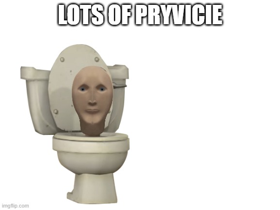 Blank White Template | LOTS OF PRYVICIE | image tagged in blank white template | made w/ Imgflip meme maker
