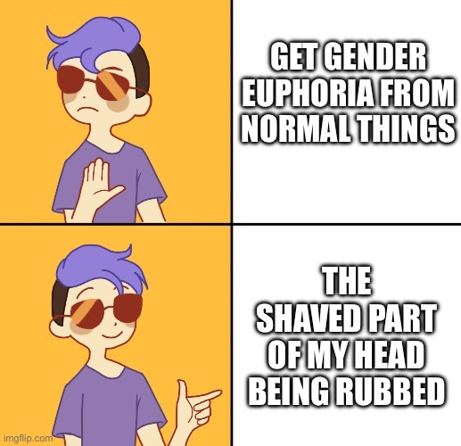 Non-binary drake meme | GET GENDER EUPHORIA FROM NORMAL THINGS; THE SHAVED PART OF MY HEAD BEING RUBBED | image tagged in non-binary drake meme | made w/ Imgflip meme maker