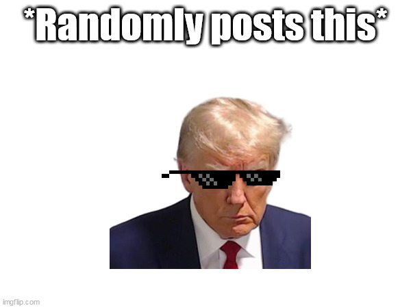 Random | *Randomly posts this* | image tagged in donald trump,trump,deal with it,imgflip | made w/ Imgflip meme maker