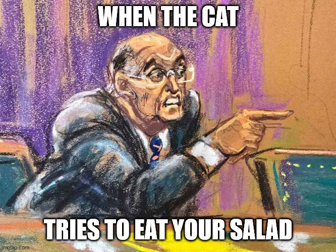 Salad Cat Reference | WHEN THE CAT; TRIES TO EAT YOUR SALAD | image tagged in angry rudy,salad cat | made w/ Imgflip meme maker