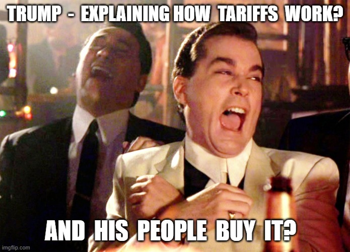 MAGA Math | TRUMP  -  EXPLAINING HOW  TARIFFS  WORK? AND  HIS  PEOPLE  BUY  IT? | image tagged in memes,good fellas hilarious | made w/ Imgflip meme maker