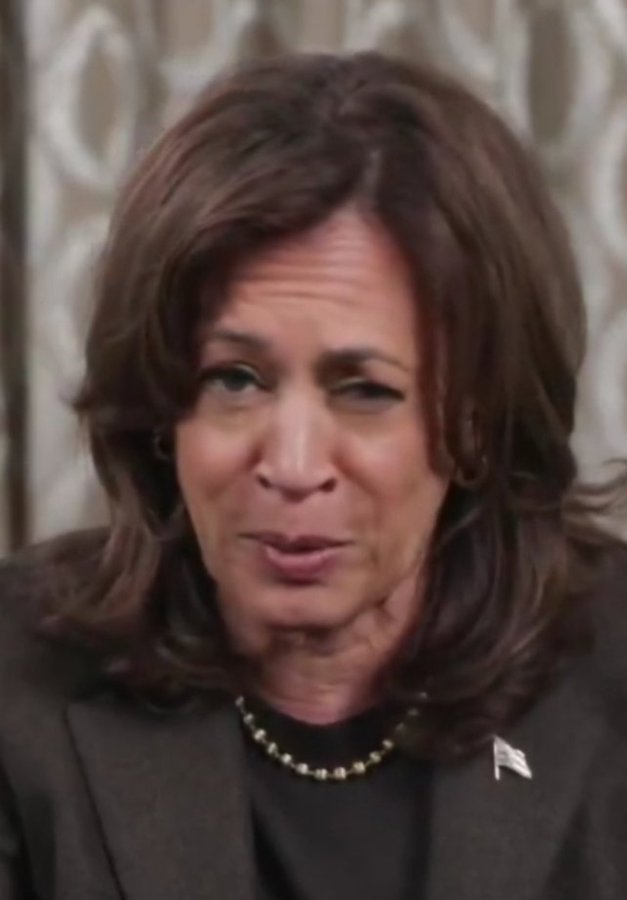 Drunk Kamala Harris Blank Meme Template