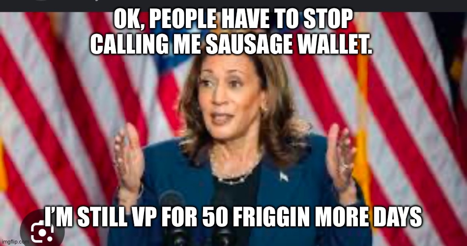 OK, PEOPLE HAVE TO STOP CALLING ME SAUSAGE WALLET. I’M STILL VP FOR 50 FRIGGIN MORE DAYS | made w/ Imgflip meme maker