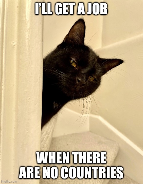 Black cat wyd | I’LL GET A JOB WHEN THERE ARE NO COUNTRIES | image tagged in black cat wyd | made w/ Imgflip meme maker