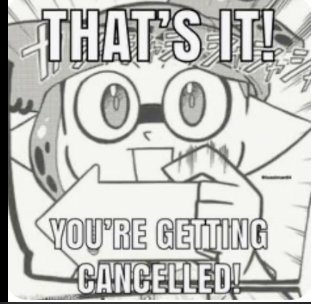you're getting cancelled Blank Meme Template