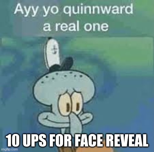 regret it | 10 UPS FOR FACE REVEAL | image tagged in quinnward | made w/ Imgflip meme maker