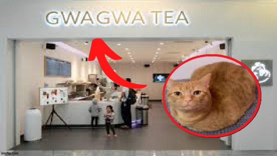 Gwa Gwa Tea | image tagged in gwa gwa tea | made w/ Imgflip meme maker