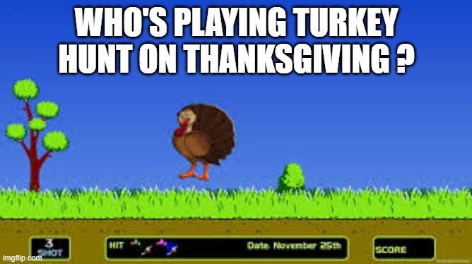 meme by Brad - Who's playing Turkey Hunt video game on Thanksgiving? | WHO'S PLAYING TURKEY HUNT ON THANKSGIVING ? | image tagged in funny,gaming,video game,turkey,thanksgiving,humor | made w/ Imgflip meme maker