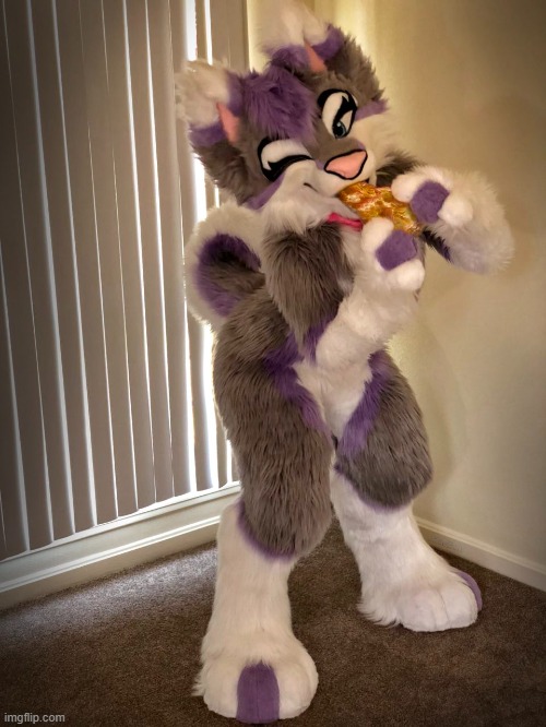 bloomie! :D (Fursuiter: Aurora bloom herself I guess..) | image tagged in aurora bloom,furry,wholesome,cute,fursuiter,cartoon | made w/ Imgflip meme maker