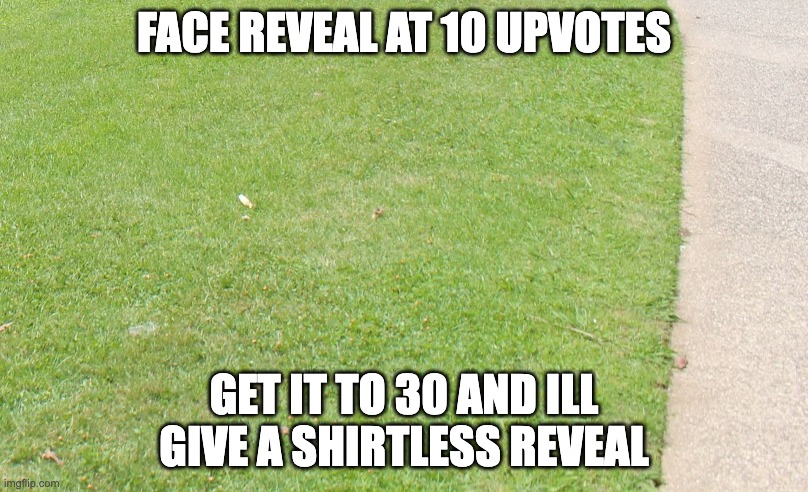 im face revealing | FACE REVEAL AT 10 UPVOTES; GET IT TO 30 AND ILL GIVE A SHIRTLESS REVEAL | image tagged in dank memes,dank,face reveal | made w/ Imgflip meme maker