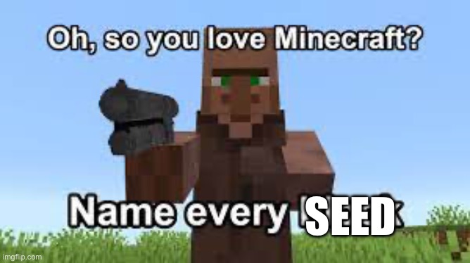 Oh so you like Minecraft? | SEED | image tagged in oh so you like minecraft | made w/ Imgflip meme maker