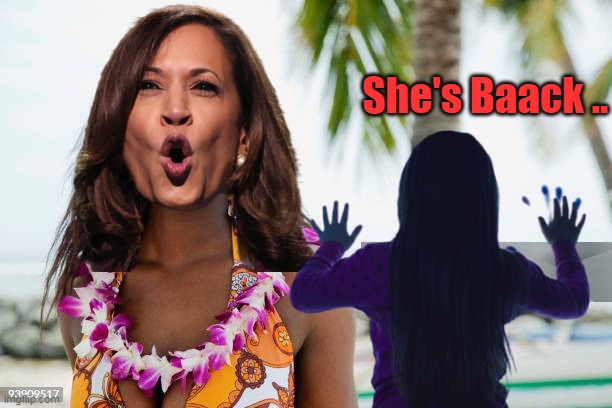 Wonder if her tail was between her legs sitting on Southwest? | She's Baack .. | image tagged in kamala back from hawaii meme | made w/ Imgflip meme maker