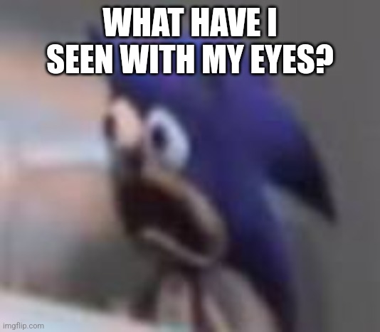 Sad Screaming Sonic | WHAT HAVE I SEEN WITH MY EYES? | image tagged in sad screaming sonic | made w/ Imgflip meme maker