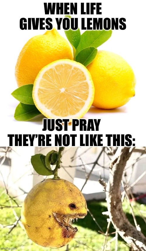 The fruit of Satan himself | WHEN LIFE GIVES YOU LEMONS; JUST PRAY THEY’RE NOT LIKE THIS: | image tagged in when life gives you lemons,lemons,cursed,fruit | made w/ Imgflip meme maker