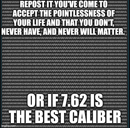 laugh | REPOST IT YOU'VE COME TO ACCEPT THE POINTLESSNESS OF YOUR LIFE AND THAT YOU DON'T, NEVER HAVE, AND NEVER WILL MATTER. OR IF 7.62 IS THE BEST CALIBER | image tagged in laugh | made w/ Imgflip meme maker