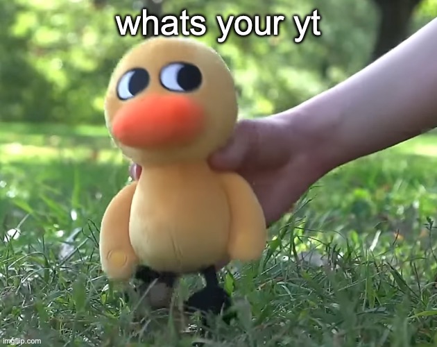 @JustAnArabMemer101 | whats your yt | image tagged in duck song plushie | made w/ Imgflip meme maker