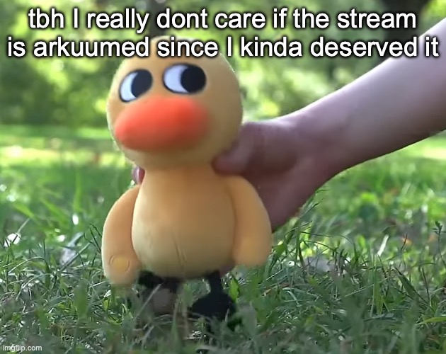 duck song plushie | tbh I really dont care if the stream is arkuumed since I kinda deserved it | image tagged in duck song plushie | made w/ Imgflip meme maker