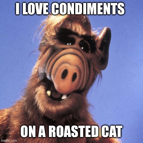 Alf  | I LOVE CONDIMENTS ON A ROASTED CAT | image tagged in alf | made w/ Imgflip meme maker