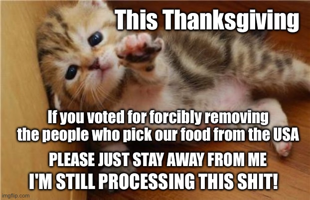 Thanksgiving genocide help me kitten | This Thanksgiving; If you voted for forcibly removing the people who pick our food from the USA; PLEASE JUST STAY AWAY FROM ME; I'M STILL PROCESSING THIS SHIT! | image tagged in help me kitten | made w/ Imgflip meme maker