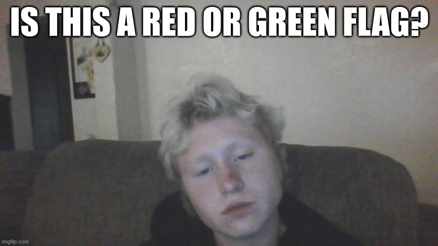 IS THIS A RED OR GREEN FLAG? | made w/ Imgflip meme maker