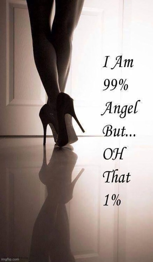 But oh, that 1% | image tagged in angel,not really,sexy woman,rocks,your,world domination | made w/ Imgflip meme maker