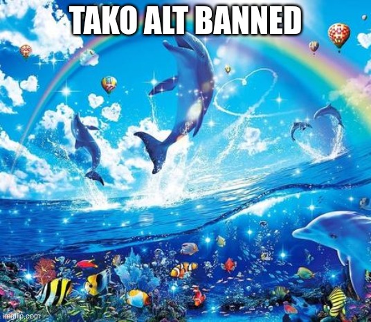 Symphony Meme | TAKO ALT BANNED | image tagged in symphony meme | made w/ Imgflip meme maker