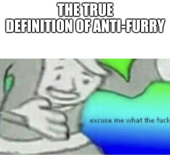 Excuse me wtf blank template | THE TRUE DEFINITION OF ANTI-FURRY | image tagged in excuse me wtf blank template | made w/ Imgflip meme maker