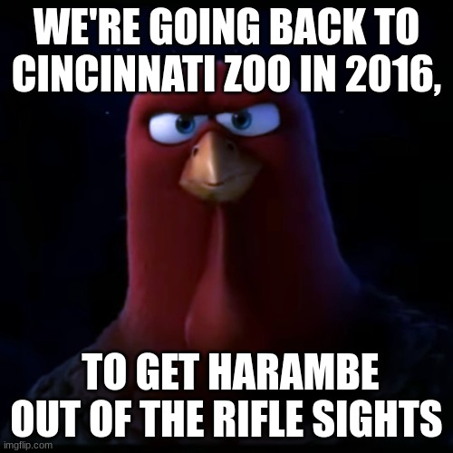 We're going back in time | WE'RE GOING BACK TO CINCINNATI ZOO IN 2016, TO GET HARAMBE OUT OF THE RIFLE SIGHTS | image tagged in we're going back in time | made w/ Imgflip meme maker