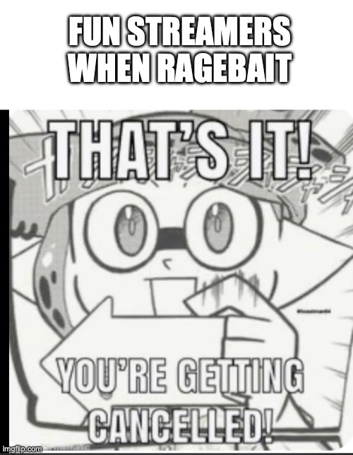 FUN STREAMERS WHEN RAGEBAIT | image tagged in blank white template,you're getting cancelled | made w/ Imgflip meme maker