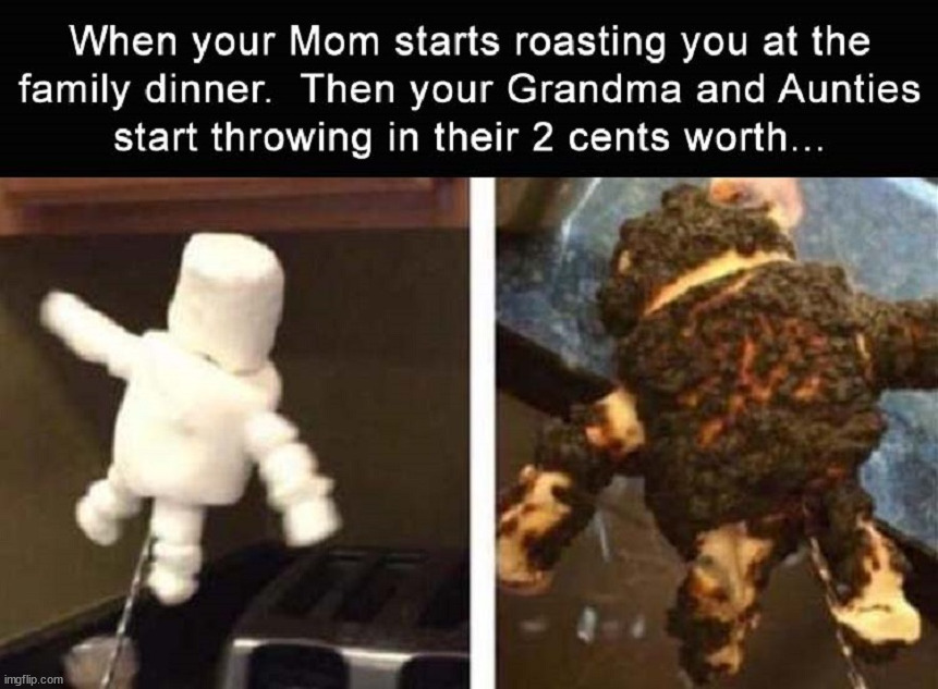 Getting roasted by family | image tagged in roasted | made w/ Imgflip meme maker