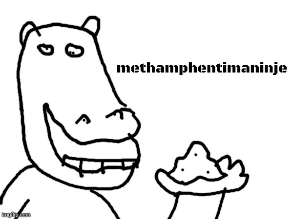 methamphentimaninje | made w/ Imgflip meme maker