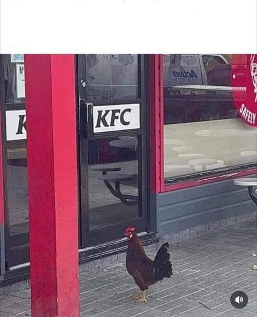 Kfc brave chicken Blank Meme Template