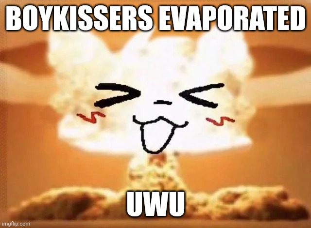 UwU | BOYKISSERS EVAPORATED; UWU | image tagged in boykisser nuke,boykisser | made w/ Imgflip meme maker