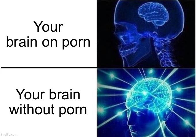 Brain | Your brain on porn; Your brain without porn | image tagged in expanding brain two frames,brain,memes,funny memes,science,fun | made w/ Imgflip meme maker