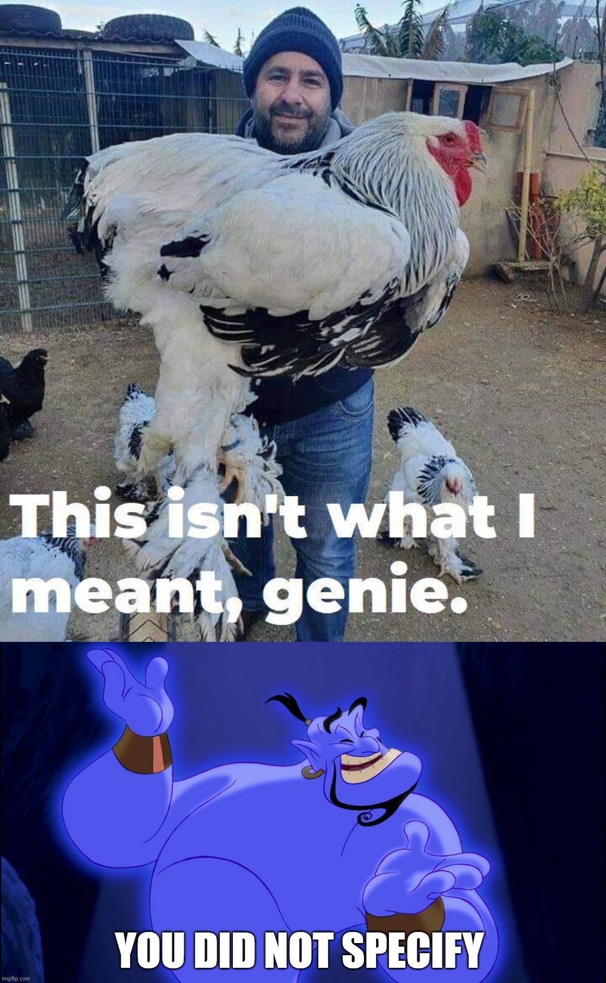 Giant | YOU DID NOT SPECIFY | image tagged in aladdin genie | made w/ Imgflip meme maker