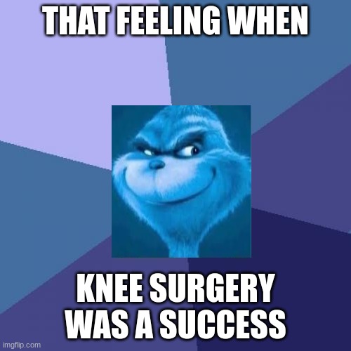 knee surgery | THAT FEELING WHEN; KNEE SURGERY WAS A SUCCESS | image tagged in memes,success kid | made w/ Imgflip meme maker