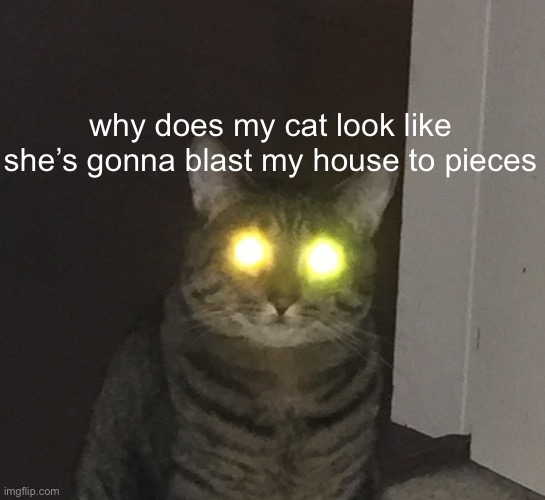 lend me some of your energy! | why does my cat look like she’s gonna blast my house to pieces | image tagged in chat | made w/ Imgflip meme maker