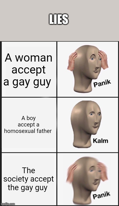 Gay guy | LIES; A woman accept a gay guy; A boy accept a homosexual father; The society accept the gay guy | image tagged in memes,panik kalm panik | made w/ Imgflip meme maker