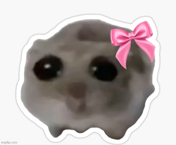 Hamster coquette | image tagged in hamster coquette | made w/ Imgflip meme maker