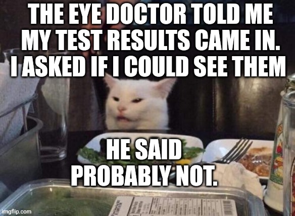 Smudge that darn cat | THE EYE DOCTOR TOLD ME MY TEST RESULTS CAME IN. I ASKED IF I COULD SEE THEM; HE SAID PROBABLY NOT. | image tagged in smudge that darn cat | made w/ Imgflip meme maker