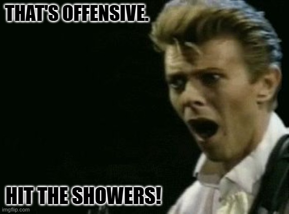 Offended David Bowie | THAT'S OFFENSIVE. HIT THE SHOWERS! | image tagged in offended david bowie | made w/ Imgflip meme maker